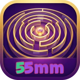 55mm